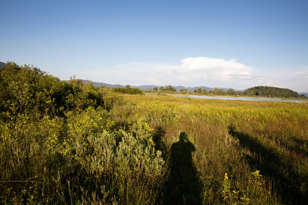 cerknisko_kosec_28_06_2024_2634