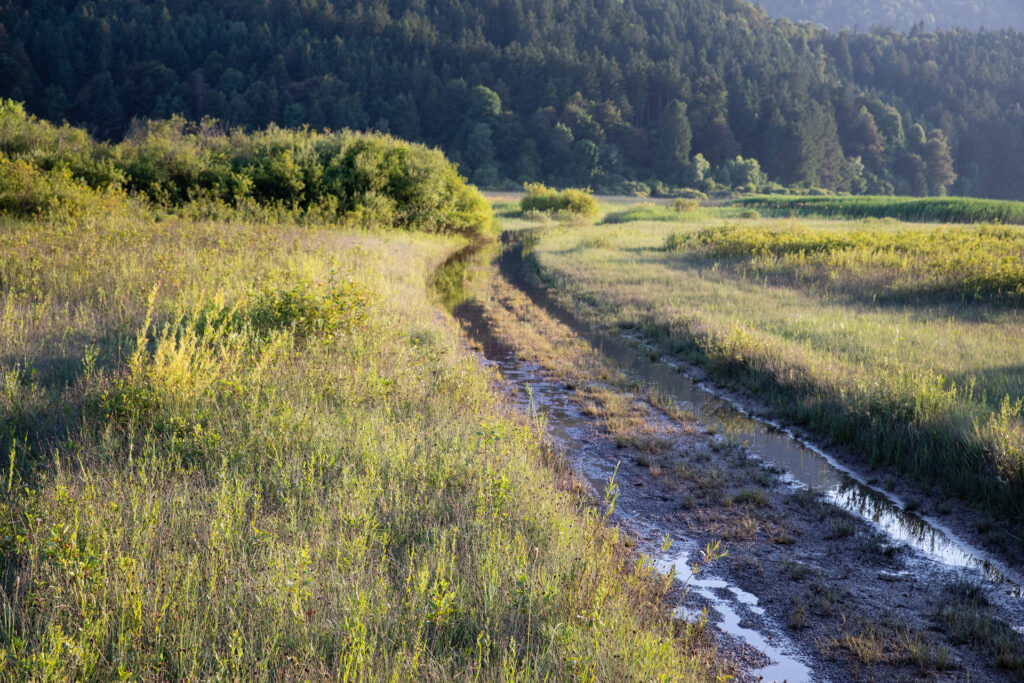 cerknisko_kosec_28_06_2024_2636