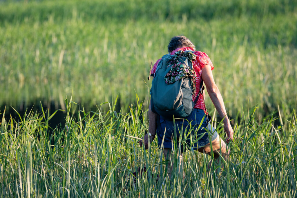 cerknisko_kosec_28_06_2024_2641