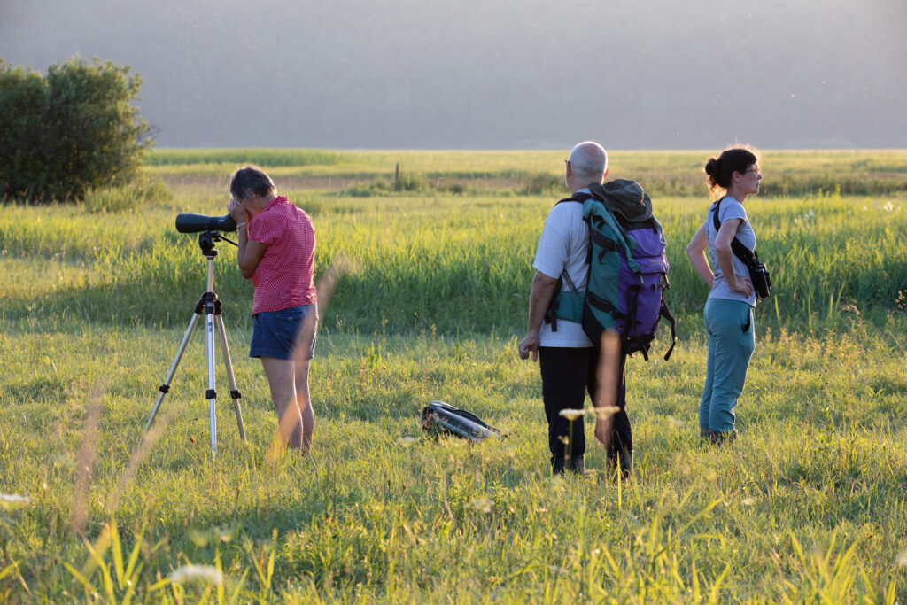 cerknisko_kosec_28_06_2024_2648