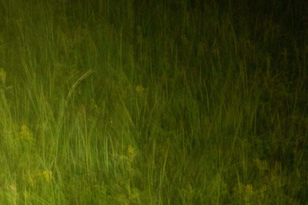 cerknisko_kosec_28_06_2024_2684